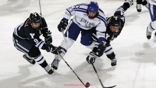 世俱杯直播-回顾2016赛季CBA所有球队主场布局与地理优势